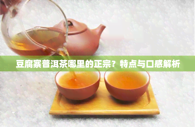 豆腐寨普洱茶哪里的正宗？特点与口感解析