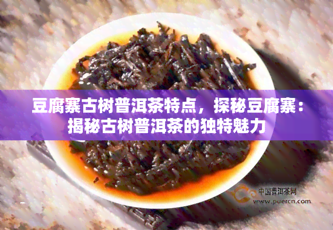 豆腐寨古树普洱茶特点，探秘豆腐寨：揭秘古树普洱茶的独特魅力