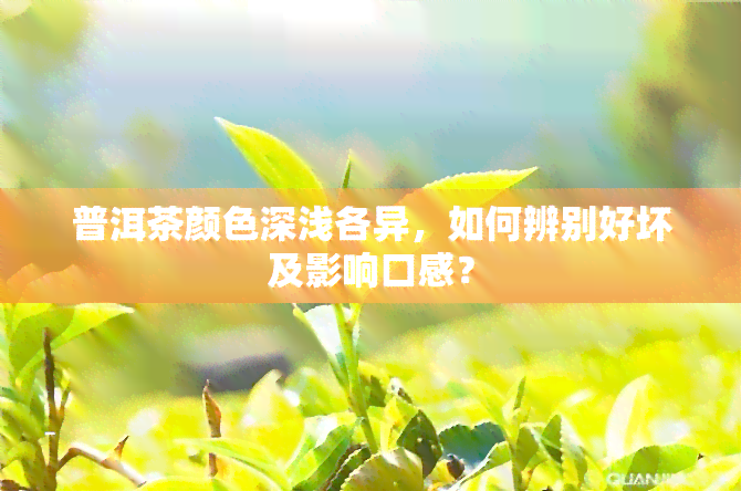 普洱茶颜色深浅各异，如何辨别好坏及影响口感？