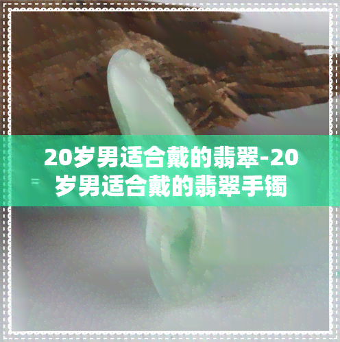 20岁男适合戴的翡翠-20岁男适合戴的翡翠手镯