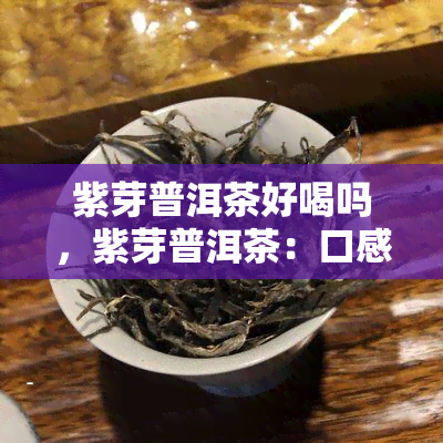 紫芽普洱茶好喝吗，紫芽普洱茶：口感醇厚，值得一试！