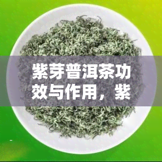 紫芽普洱茶功效与作用，紫芽普洱茶：揭示其独特功效与作用