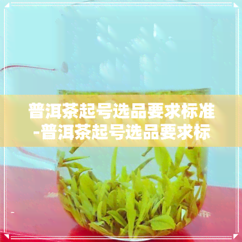 普洱茶起号选品要求标准-普洱茶起号选品要求标准是什么