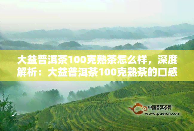 大益普洱茶100克熟茶怎么样，深度解析：大益普洱茶100克熟茶的口感与品质