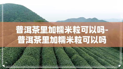 普洱茶里加糯米粒可以吗-普洱茶里加糯米粒可以吗