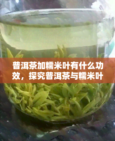 普洱茶加糯米叶有什么功效，探究普洱茶与糯米叶的神奇组合，揭示其独特功效