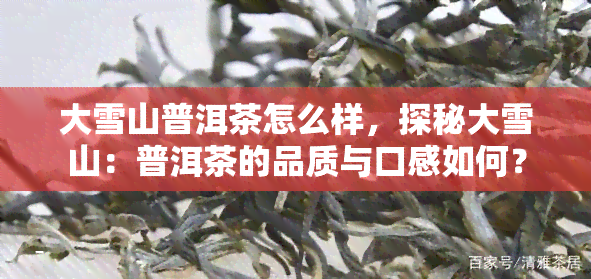 大雪山普洱茶怎么样，探秘大雪山：普洱茶的品质与口感如何？