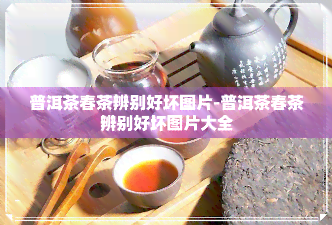 普洱茶春茶辨别好坏图片-普洱茶春茶辨别好坏图片大全