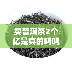 卖普洱茶2个亿是真的吗吗，揭秘普洱茶市场：卖两个亿是真的吗？