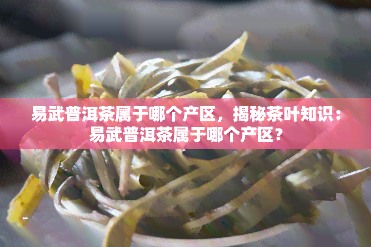 易武普洱茶属于哪个产区，揭秘茶叶知识：易武普洱茶属于哪个产区？