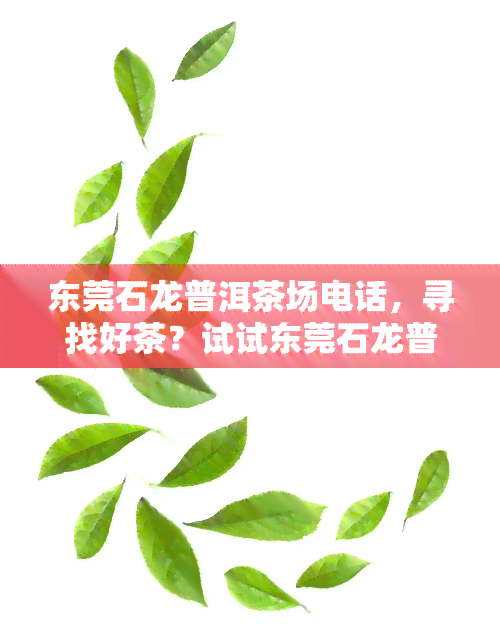 东莞石龙普洱茶场电话，寻找好茶？试试东莞石龙普洱茶场，联系电话为你揭晓！