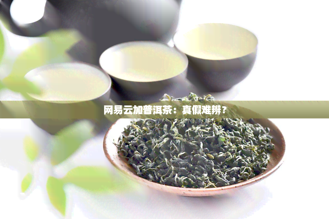 网易云加普洱茶：真假难辨？