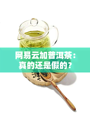 网易云加普洱茶：真的还是假的？