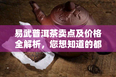 易武普洱茶卖点及价格全解析，您想知道的都在这里！