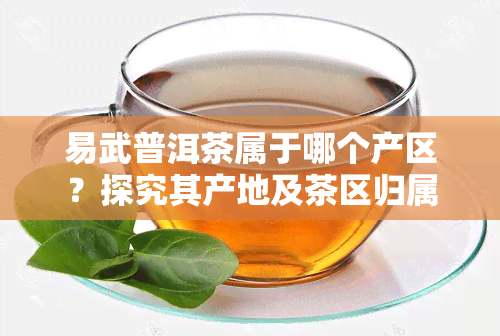 易武普洱茶属于哪个产区？探究其产地及茶区归属