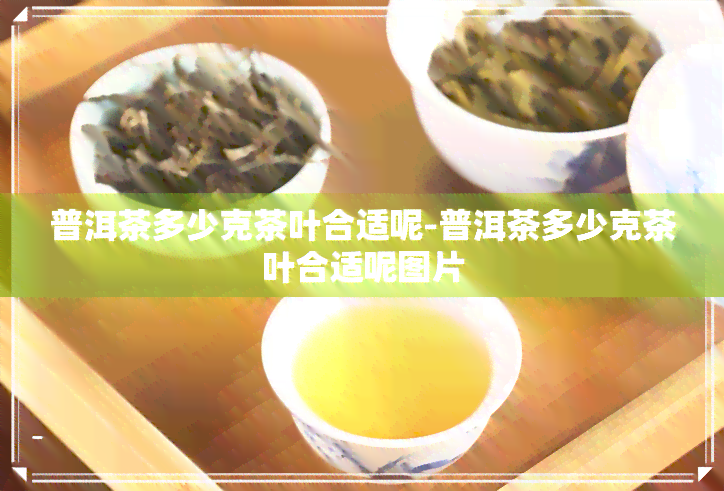 普洱茶多少克茶叶合适呢-普洱茶多少克茶叶合适呢图片