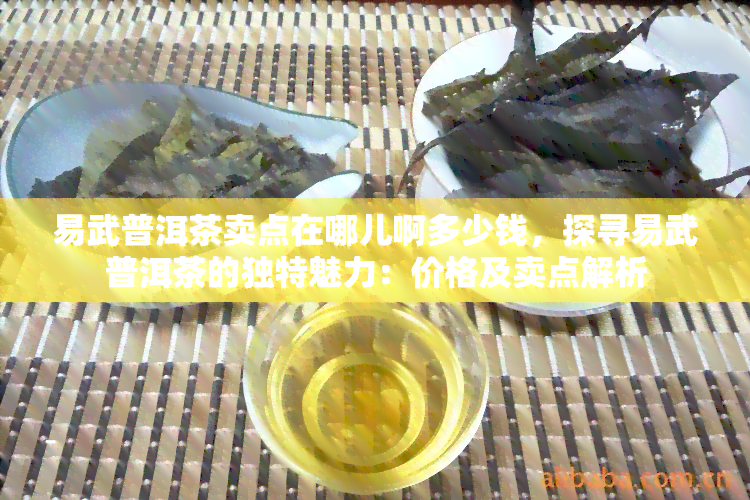 易武普洱茶卖点在哪儿啊多少钱，探寻易武普洱茶的独特魅力：价格及卖点解析