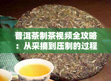 普洱茶制茶视频全攻略：从采摘到压制的过程详解