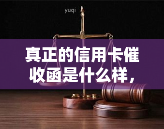 真正的信用卡函是什么样，揭秘真正的信用卡函：你必须知道的要点