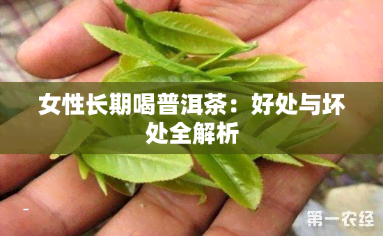 女性长期喝普洱茶：好处与坏处全解析