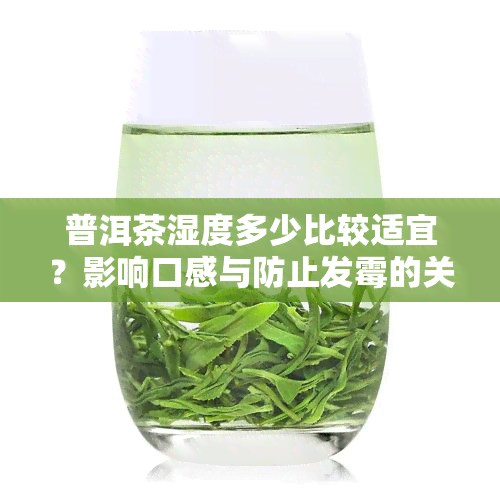 普洱茶湿度多少比较适宜？影响口感与防止发霉的关键