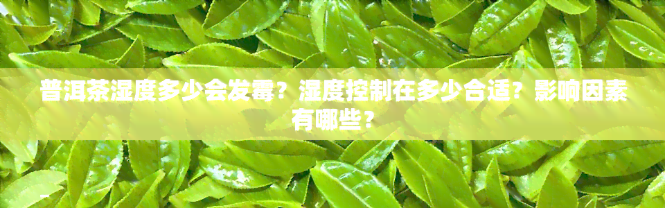 普洱茶湿度多少会发霉？湿度控制在多少合适？影响因素有哪些？