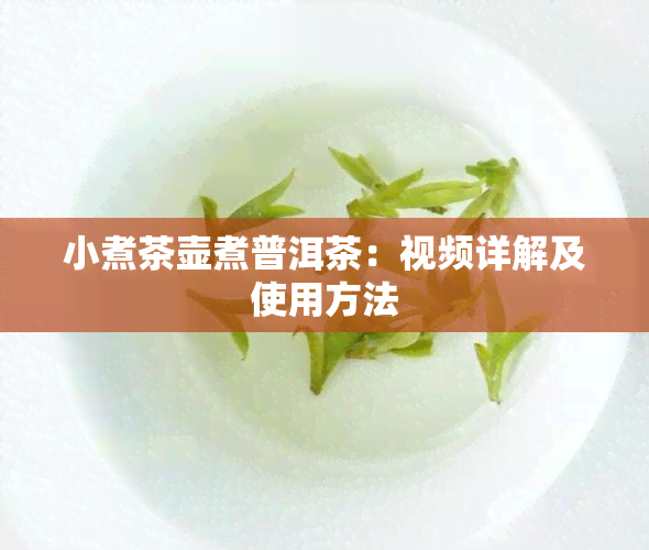 小煮茶壶煮普洱茶：视频详解及使用方法