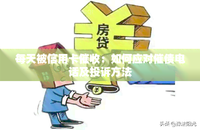 每天被信用卡：如何应对催债电话及投诉方法