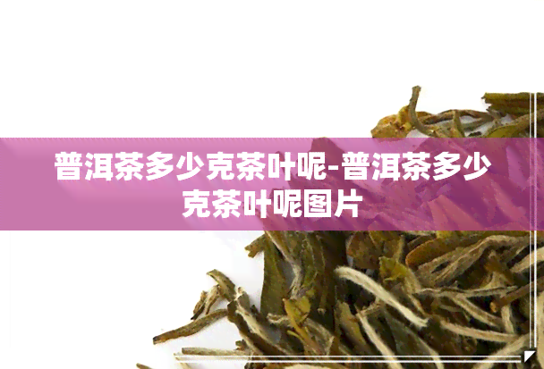 普洱茶多少克茶叶呢-普洱茶多少克茶叶呢图片