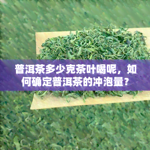 普洱茶多少克茶叶喝呢，如何确定普洱茶的冲泡量？