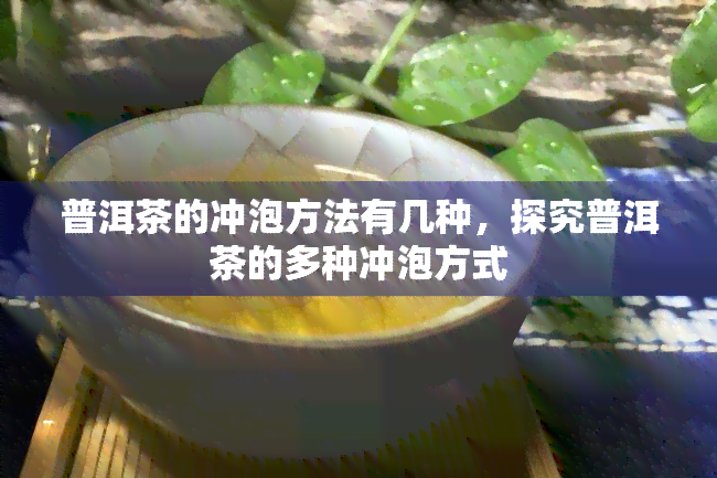 普洱茶的冲泡方法有几种，探究普洱茶的多种冲泡方式