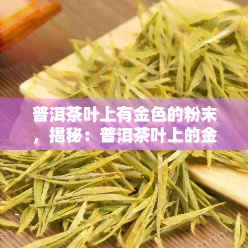 普洱茶叶上有金色的粉末，揭秘：普洱茶叶上的金色粉末是什么？