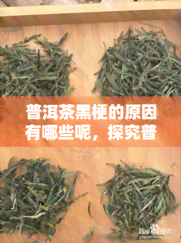 普洱茶黑梗的原因有哪些呢，探究普洱茶黑梗的成因