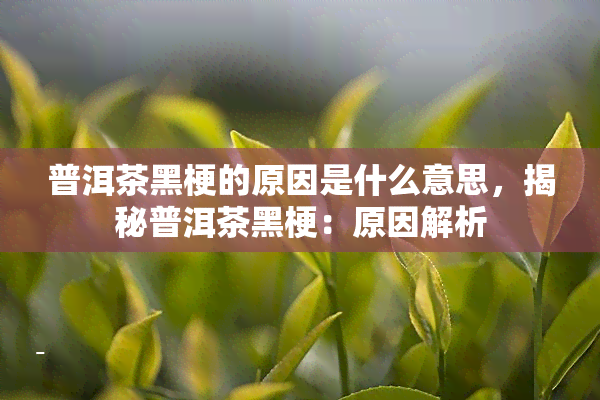 普洱茶黑梗的原因是什么意思，揭秘普洱茶黑梗：原因解析