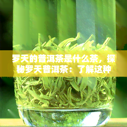 罗天的普洱茶是什么茶，探秘罗天普洱茶：了解这种独特的中国茶叶