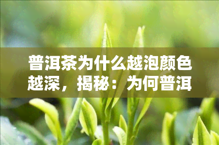 普洱茶为什么越泡颜色越深，揭秘：为何普洱茶越泡颜色越深？