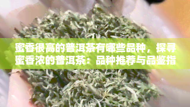 蜜香很高的普洱茶有哪些品种，探寻蜜香浓的普洱茶：品种推荐与品鉴指南