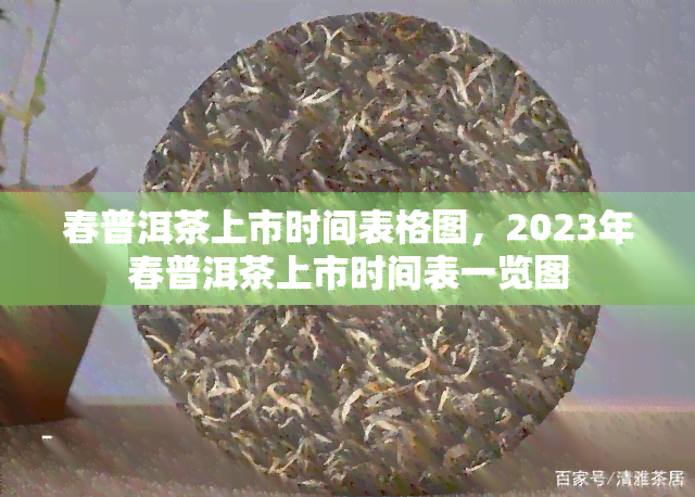 春普洱茶上市时间表格图，2023年春普洱茶上市时间表一览图