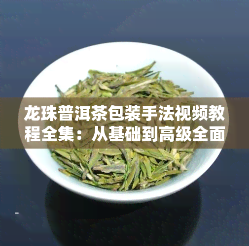 龙珠普洱茶包装手法视频教程全集：从基础到高级全面解析