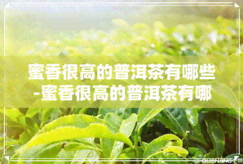 蜜香很高的普洱茶有哪些-蜜香很高的普洱茶有哪些品种