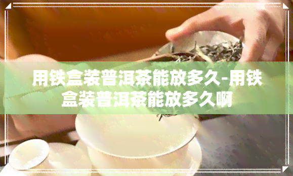 用铁盒装普洱茶能放多久-用铁盒装普洱茶能放多久啊