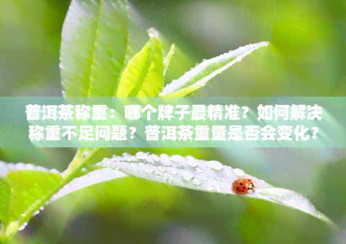 普洱茶称重：哪个牌子最精准？如何解决称重不足问题？普洱茶重量是否会变化？详细解析普洱茶克重