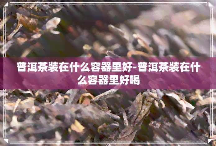 普洱茶装在什么容器里好-普洱茶装在什么容器里好喝