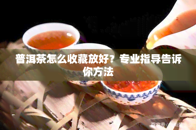 普洱茶怎么收藏放好？专业指导告诉你方法