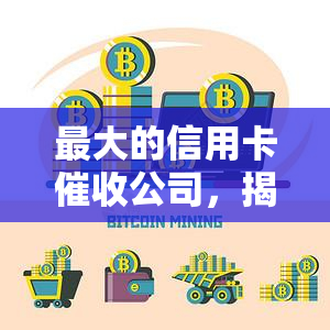 更大的信用卡公司，揭秘：全球更大信用卡公司究竟是谁？