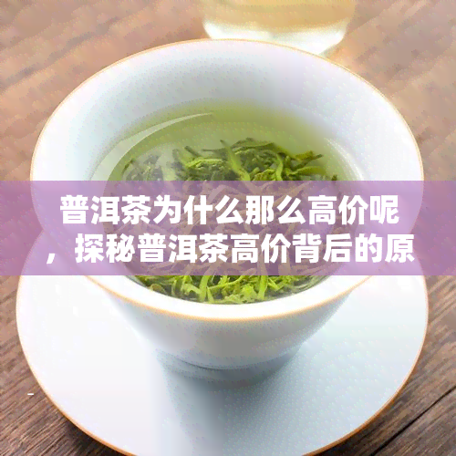 普洱茶为什么那么高价呢，探秘普洱茶高价背后的原因