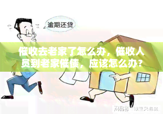 去老家了怎么办，人员到老家催债，应该怎么办？