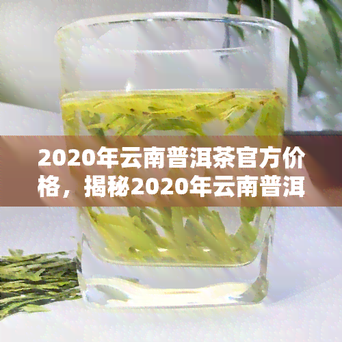 2020年云南普洱茶官方价格，揭秘2020年云南普洱茶官方价格，让你买得放心！