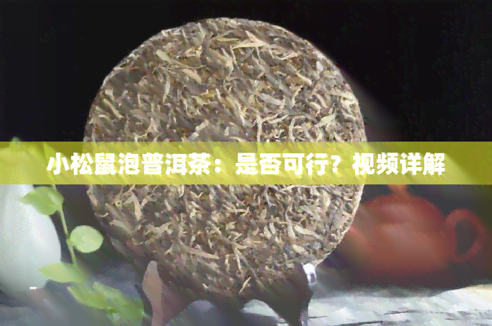 小松鼠泡普洱茶：是否可行？视频详解