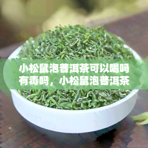 小松鼠泡普洱茶可以喝吗有吗，小松鼠泡普洱茶：能喝吗？是否有？